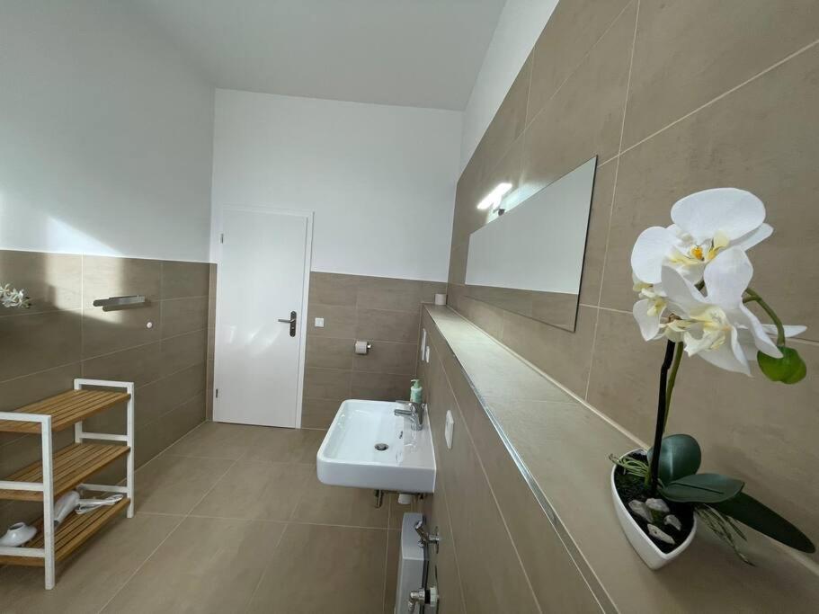 Lucky Stays Ls10 - Vollausstattung - Zentrum - Aufzug - Grosse Kueche - 2 Zimmer - Smart-Tv Magdeburg Exterior photo